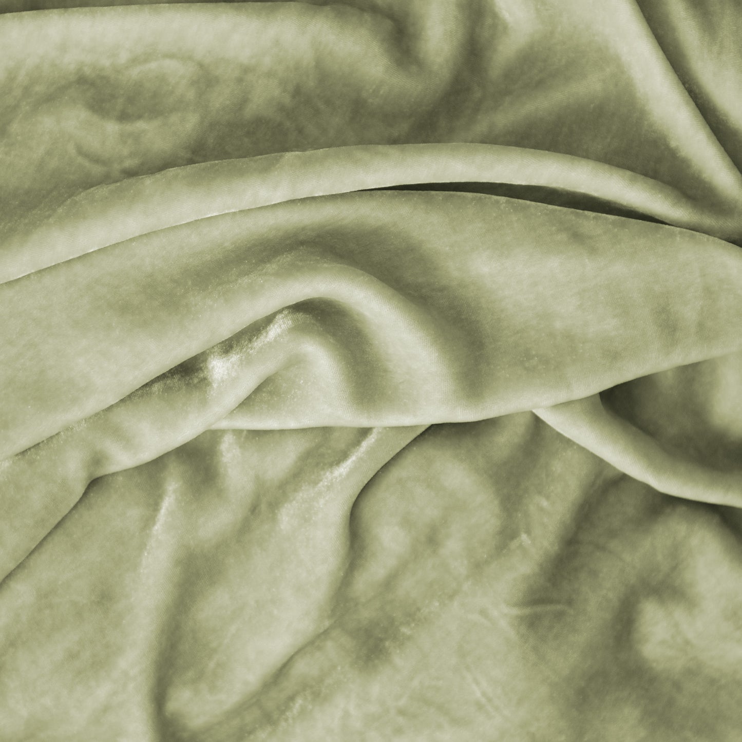 Divina 18% Silk/82% Viscose Velvet Throws