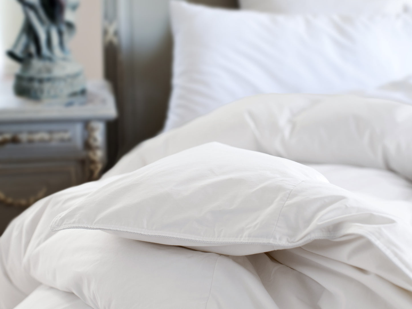 St. Geneve Ziegler Polish White Goose Down Pillows