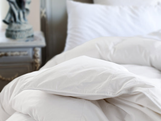 St. Geneve Zeigler Polish White Goose Down Duvet